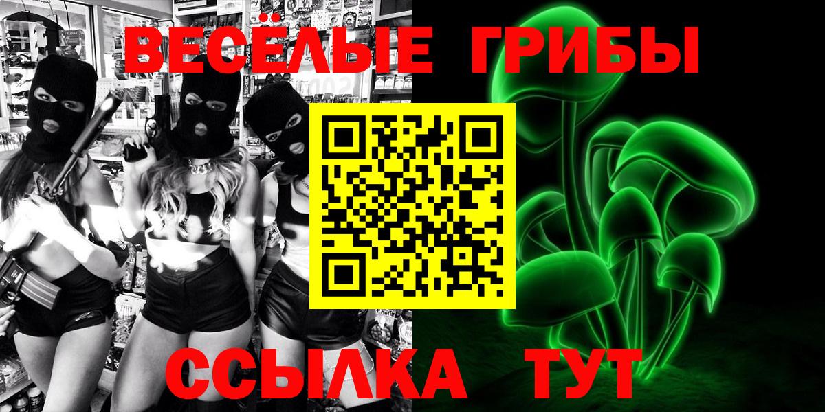 Владивосток  Галлюциногенные грибы Psilocybine cubensis  Вход с VPN 